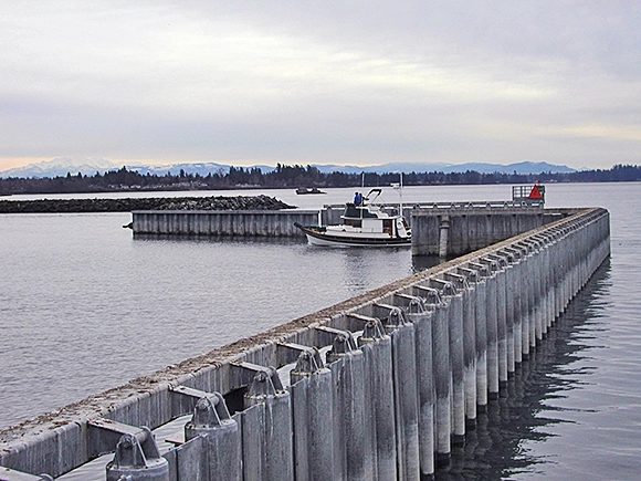 blaine harbor wave barrier 01