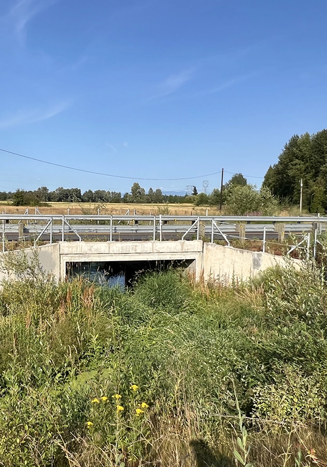 California Creek Fish Passage