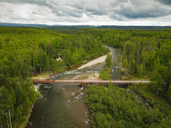 shirley towne bridge