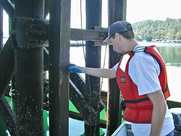 condition assess friday harbor uw labs j.olson